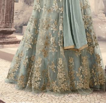 Ice Blue Net Golden Thread Embroidered Anarkali 2