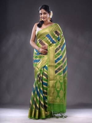 Multicolor Organza Handwoven Saree With Zari Woven Designs 2