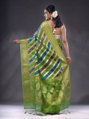 Multicolor Organza Handwoven Saree With Zari Woven Designs 4
