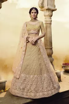 GOLDEN PEARL AND AARI EMBROIDERED NET FESTIVE & PARTY WEAR SEMI STITCHED BRIDAL LEHENGA