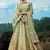 Mint Green Net Golden Sequin Work Lehenga Choli Set