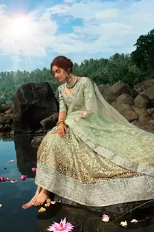 Mint Green Net Golden Sequin Work Lehenga Choli Set