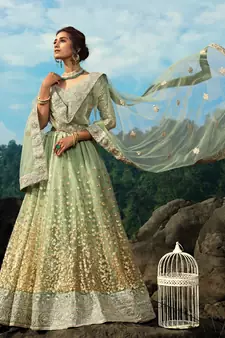 Mint Green Net Golden Sequin Work Lehenga Choli Set
