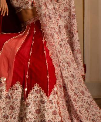 Multi-Coloured Organza Lehenga Set 4