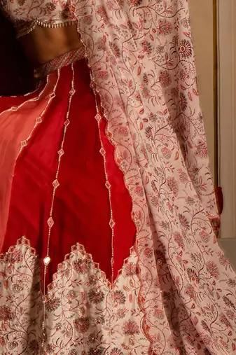 Multi-Coloured Organza Lehenga Set
