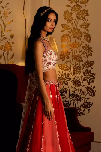 Multi-Coloured Organza Lehenga Set