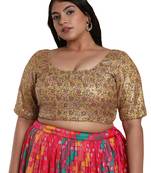 Salwar Studio Women's Gold Multi Net Readymade Saree Blouse