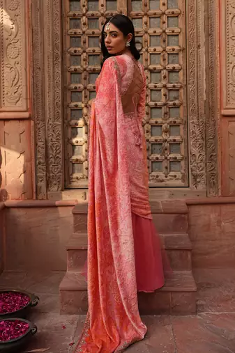 Godet Bottom Net Saree Set