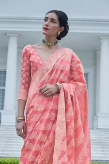 Lucknowi Chikankari Weaving Saree with Blouse