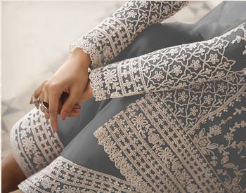 Grey Net Thread Work Salwar Suit 3