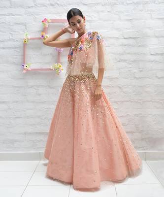 Leafy Peach Lehenga Set 4