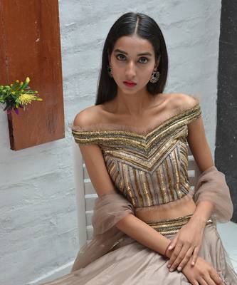 Taupe Symmetry Lehenga Set 2