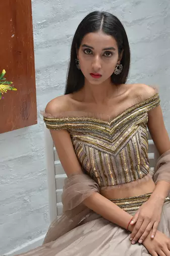 Taupe Symmetry Lehenga Set