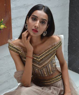 Taupe Symmetry Lehenga Set 3