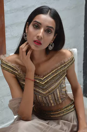 Taupe Symmetry Lehenga Set