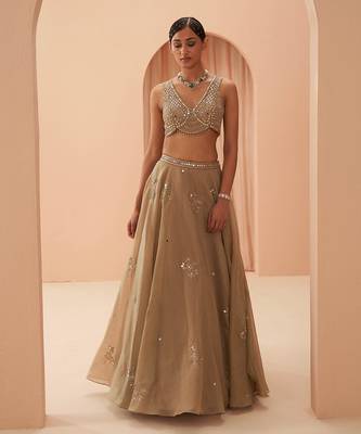 Gold Flake Mirror Lehenga 1