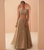 Gold Flake Mirror Lehenga