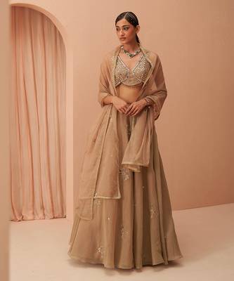Gold Flake Mirror Lehenga 4