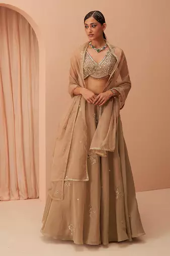 Gold Flake Mirror Lehenga