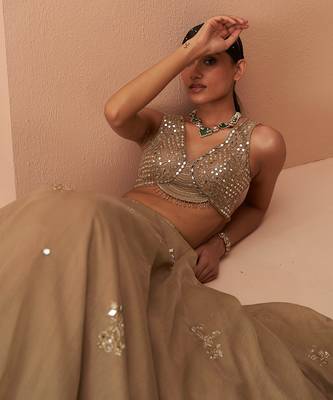 Gold Flake Mirror Lehenga 5