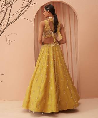 Blaze Lehenga Set 2