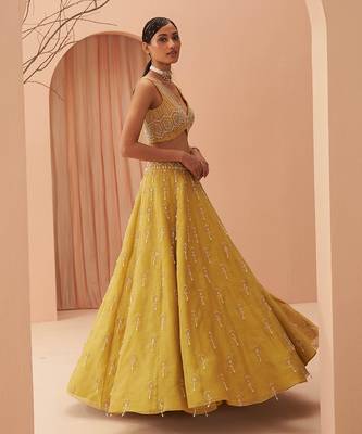 Blaze Lehenga Set 3