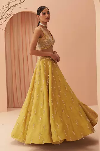 Blaze Lehenga Set