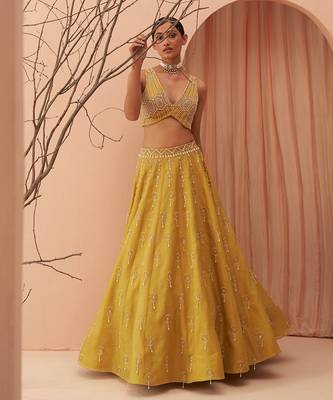 Blaze Lehenga Set 4