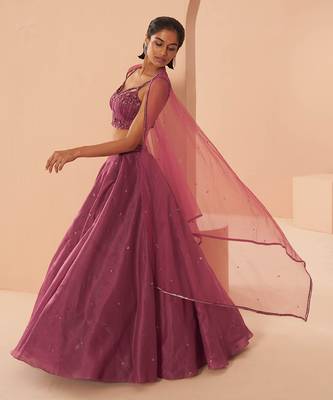 Plum Sorbet 3