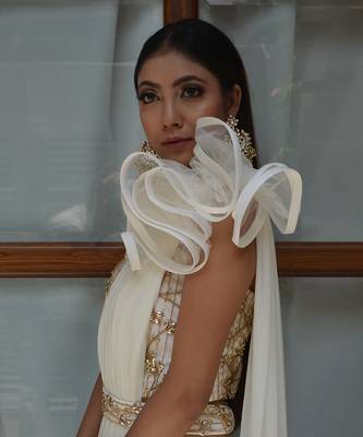 Ivory Ruffle Saree 2