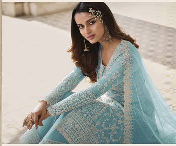 Sky Blue Net Embroidered Straight Salwar Kameez 2