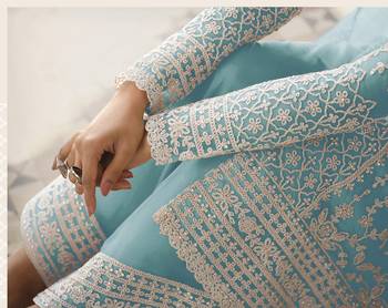 Sky Blue Net Embroidered Straight Salwar Kameez 3