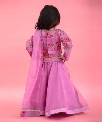 Full Sleeve Thread Embroidered Top With Different Pattern Lahenga 2