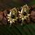 Gold-Plated Drop Earrings with Faux Emerald,