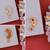 Traditional Maharashtrian Nath Nose Ring Pack of 3 for Women and Girls