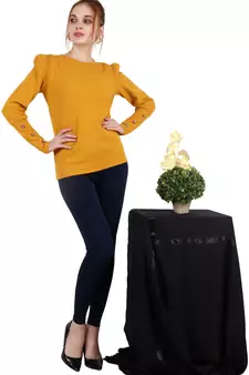 Popwings Women Mustard Yellow Top