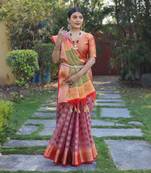 Multi color Pure Organza Zari Meena Weaving Saree