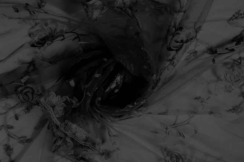 Fashion Kreza Heavy Net Dupatta With Embroidery Work