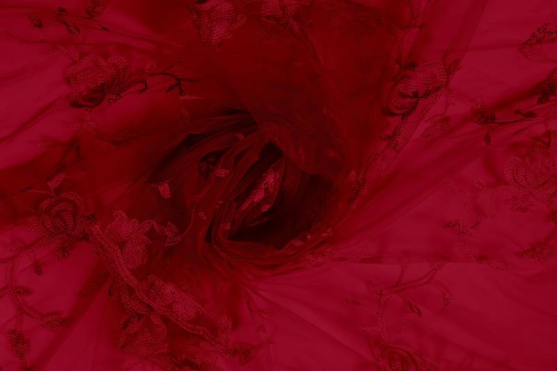 Fashion Kreza Heavy Net Dupatta With Embroidery Work