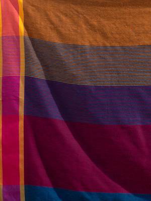 Sapphire Blue Pure Cotton handwoven soft Saree with multicolor pallu 5