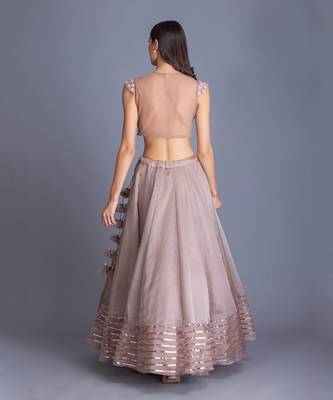 Look Chic & Minimal In Our Champange Gold Lehnga With Ruching Details At The Blouse And Sequin Stripes At The Bottom 3