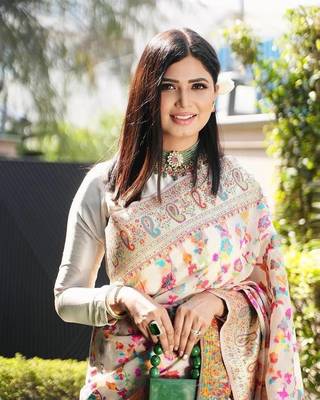 JJ's Crafted Elegance Kashmiri Pashmina Saree with Cotton Silk Base & Paisley Border 3