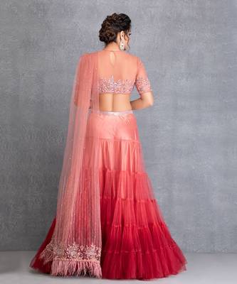 Mulberry Layered Shaded Skirt With Hand Crafted Tuelle Blouse 2