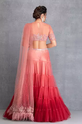 Mulberry Layered Shaded Skirt With Hand Crafted Tuelle Blouse