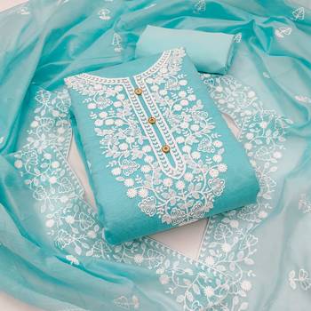 Blue embroidered cotton salwar 1