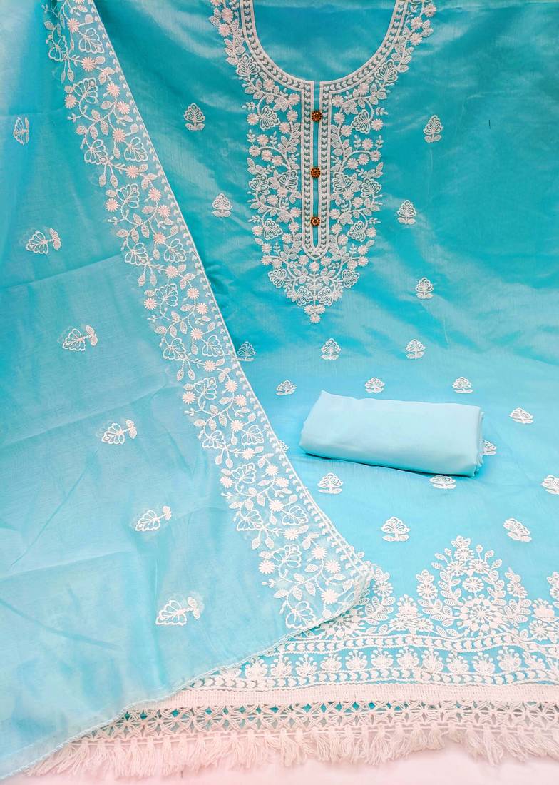 Blue embroidered cotton salwar
