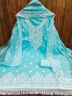 Blue embroidered cotton salwar 3