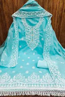 Blue embroidered cotton salwar