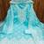 Blue embroidered cotton salwar