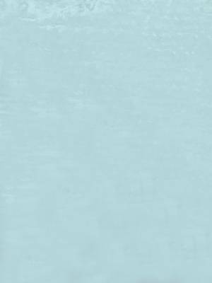 Blue embroidered cotton salwar 4
